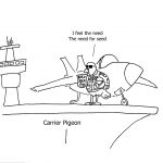 Pigeon Top Gun
