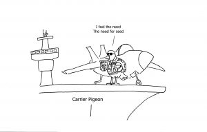 Pigeon Top Gun