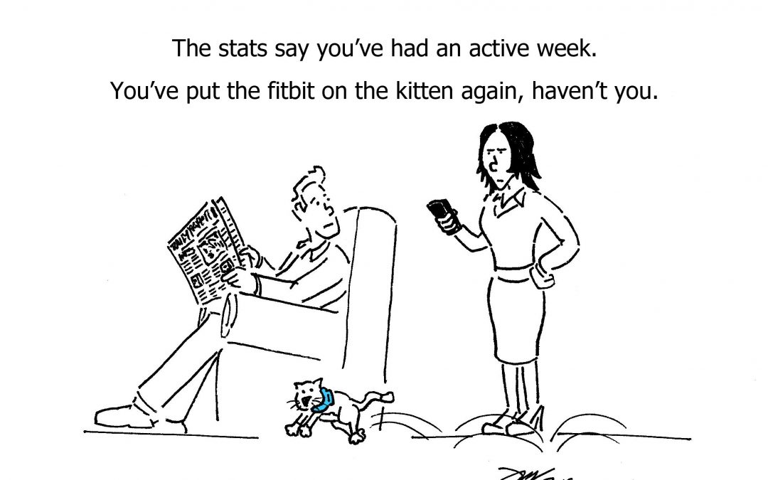 Keep Fit Kitten
