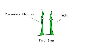 Mardi Gras