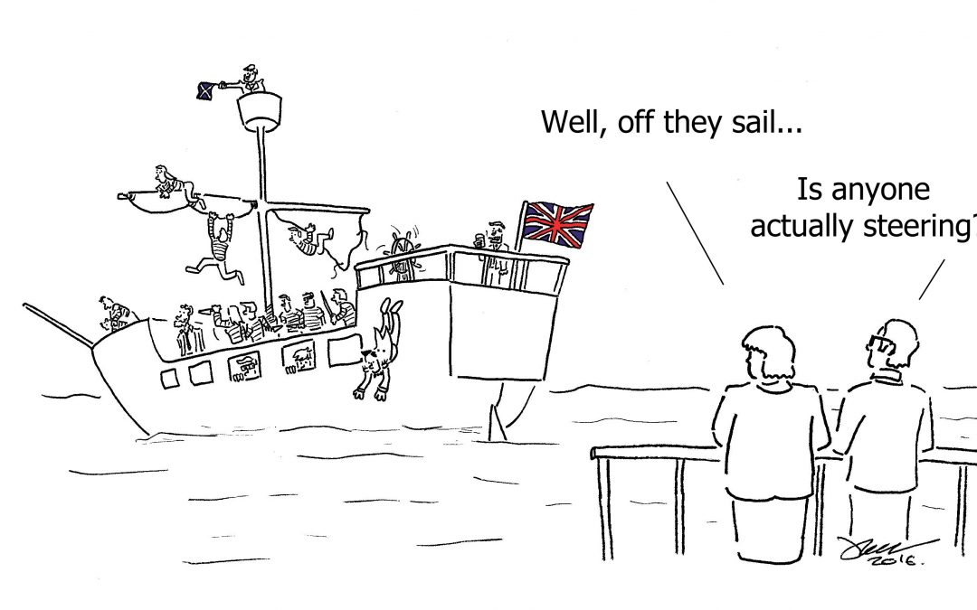 EU Referendum Cartoon