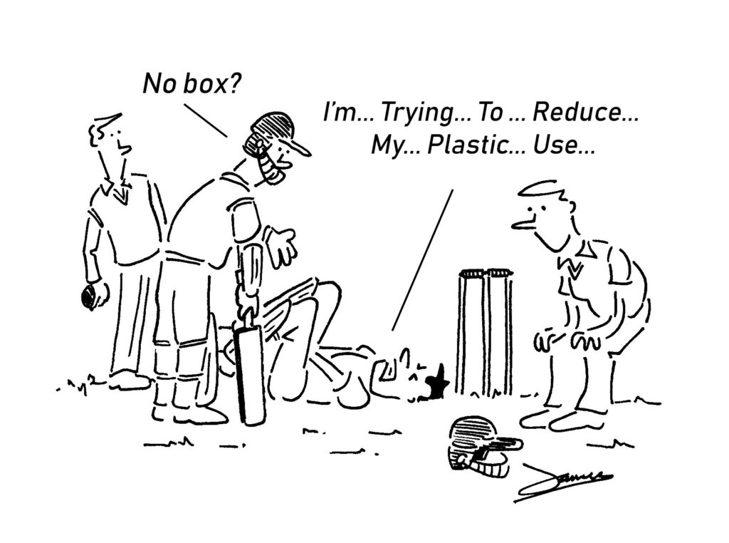 cricket world cup cartoon