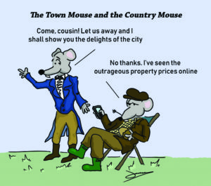 town mouse